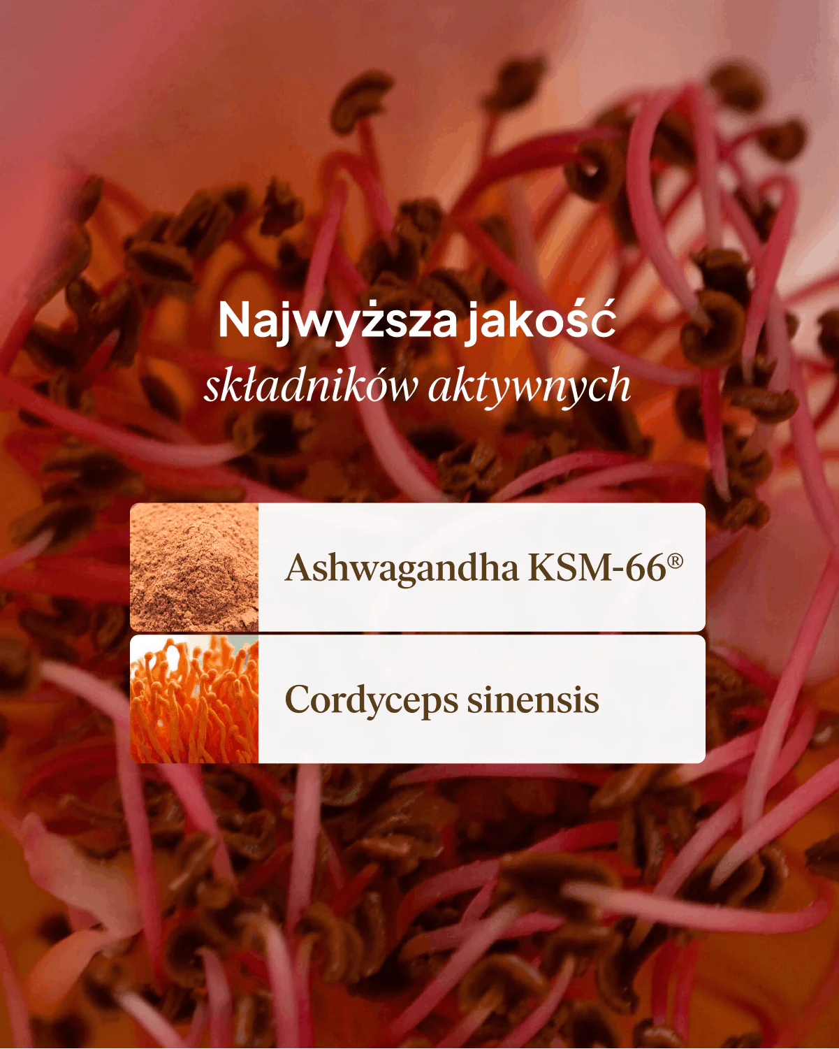 Zdjęcie produktu 8