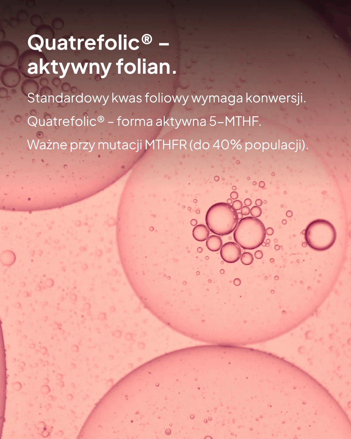 Zdjęcie produktu 5